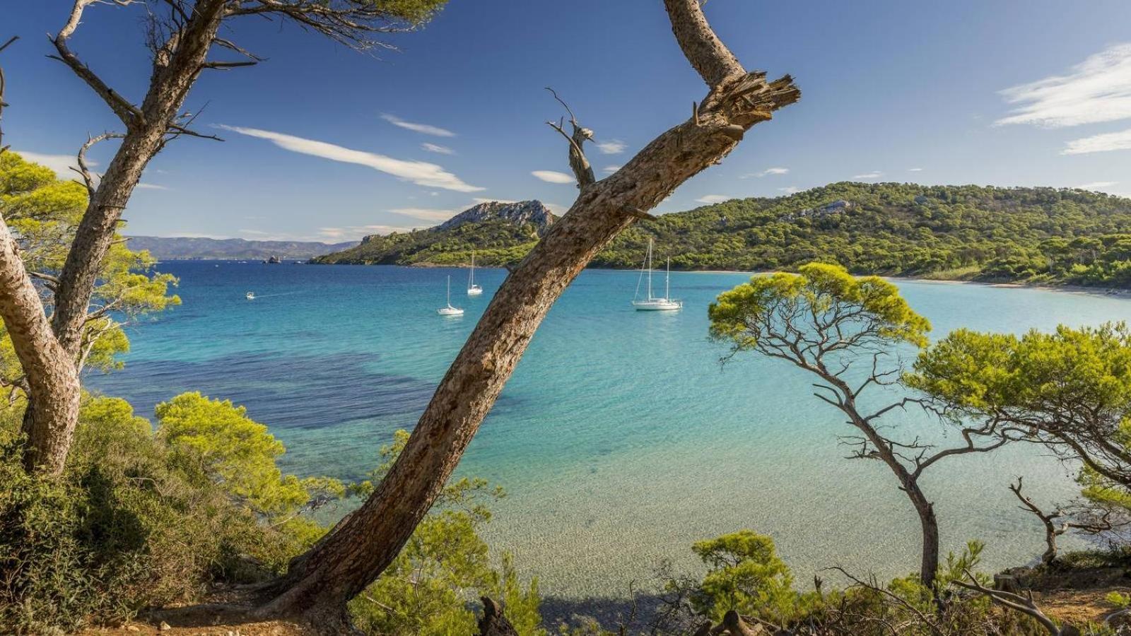 Calme Et Confort En Rez-De-Jardin La Londe-les-Maures Εξωτερικό φωτογραφία